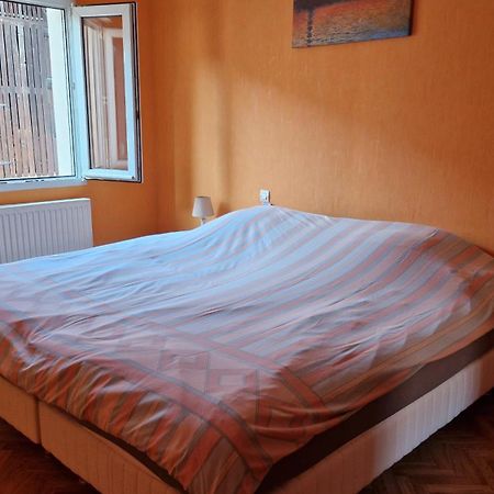 Appartement Le Grillenbreit Colmar Exterior foto